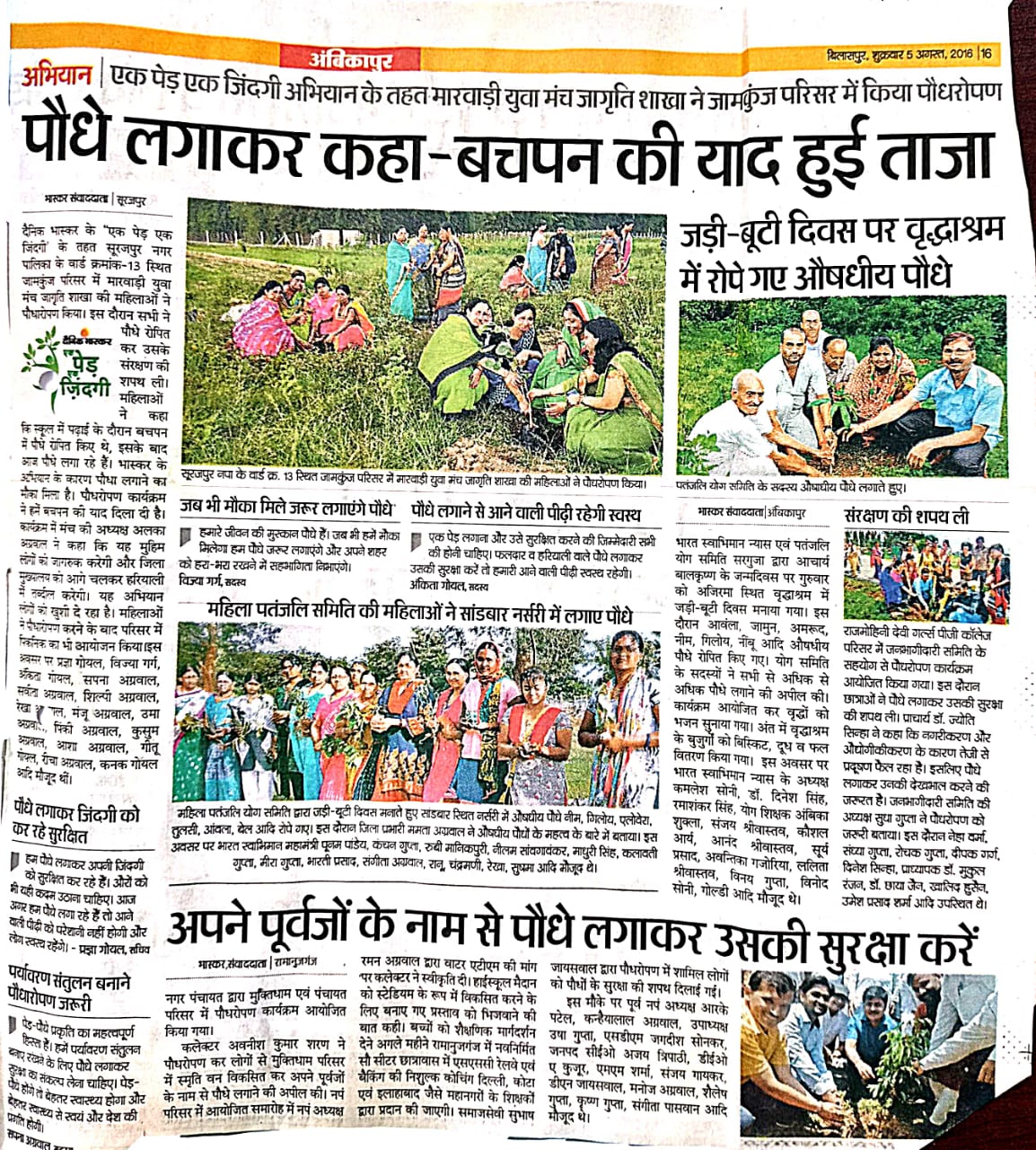 पौधे लगाकर कहा बचपन की याद ताजा हुई- Govt Rajmohini Devi Girls PG College, Ambikapur